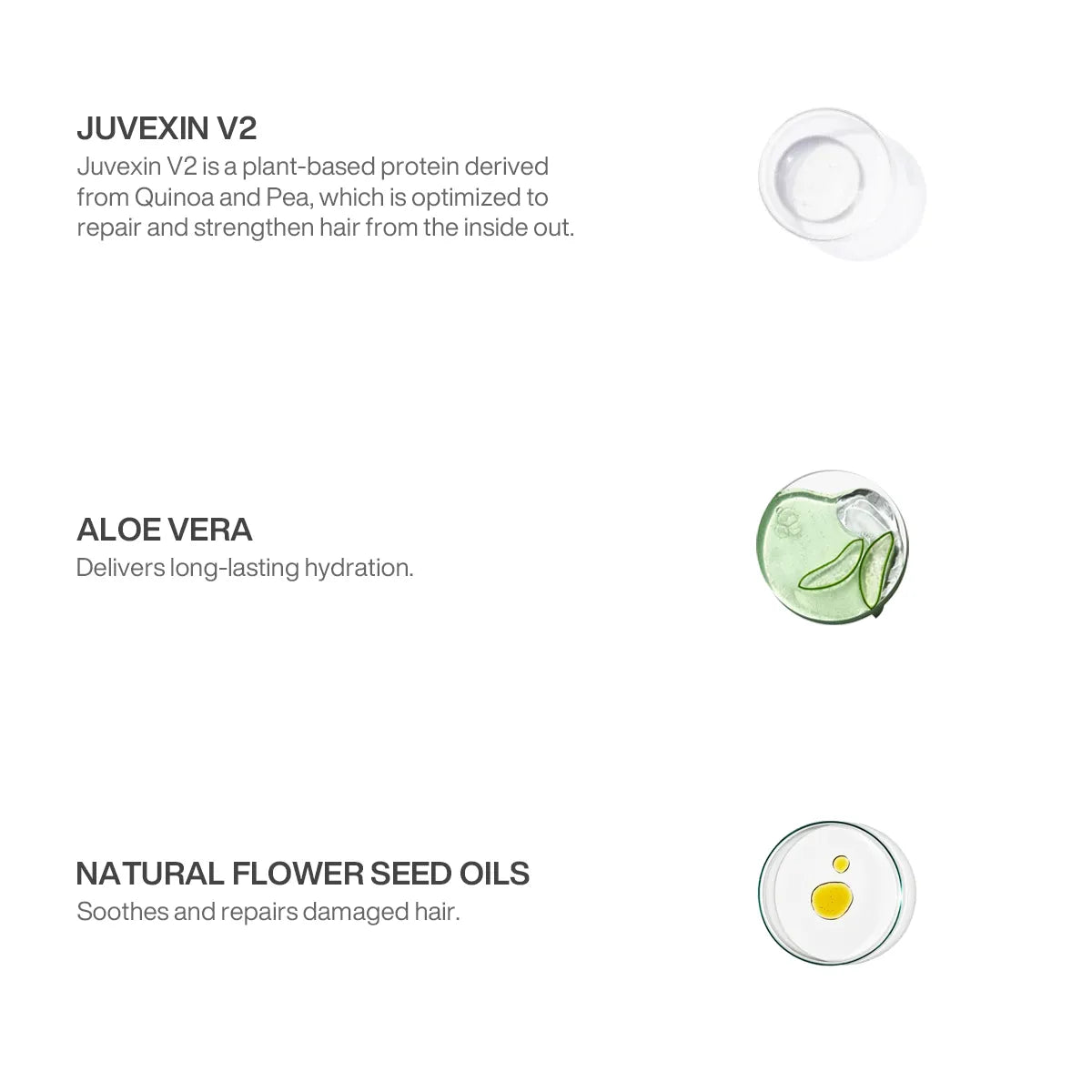 Shield Additive+